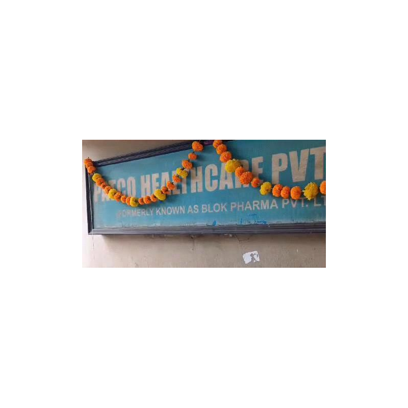 Dussehra 2024 | Patco Healthcare Pvt Ltd