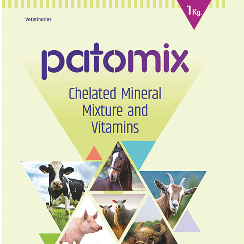 Patomix by Patco Healthcare Pvt Ltd 