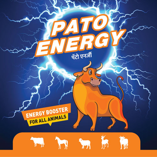 Pato Energy by Patco Healthcare Pvt Ltd 