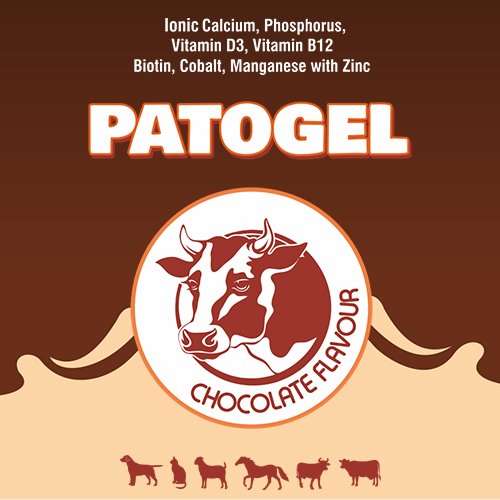 Pato Gel - Chocolate Flavor by Patco Healthcare Pvt Ltd 