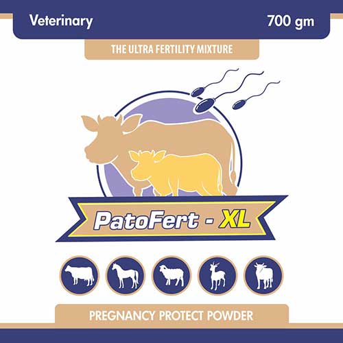 PatoFert XL by Patco Healthcare Pvt Ltd 